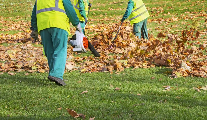 Seasonal Leaf Cleanup