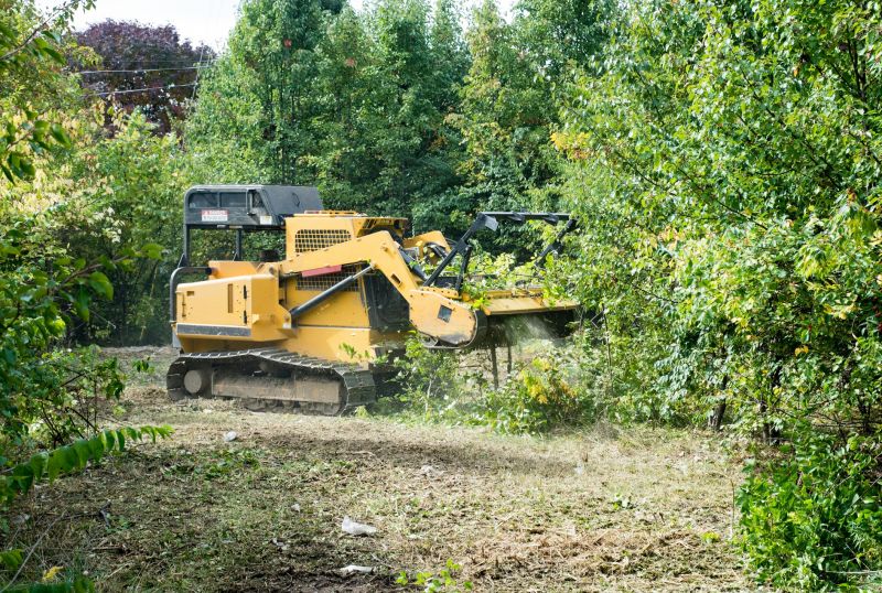 Commercial Tree Removal Equipment