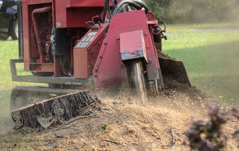 Stump Grinding
